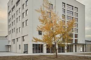 Mlynica (Mill) Bratislava